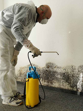 Mold Remedation
